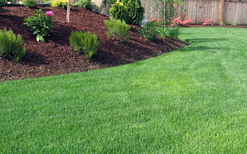 Lawn Care Services 01